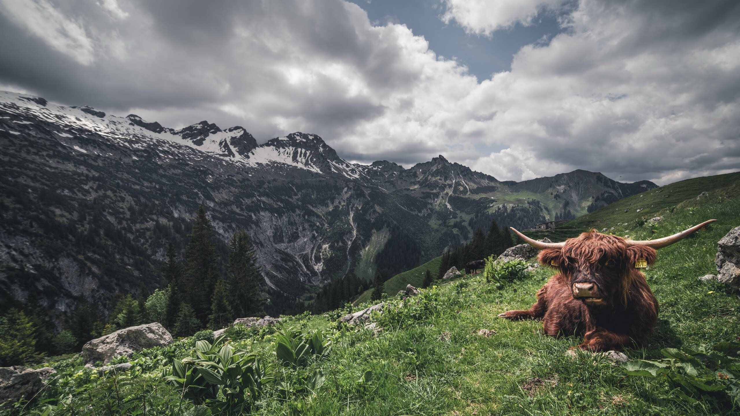 开云体育客户端-_未来科技运动器材：开启运动新时代_，科技 运动