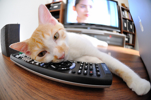 下载开云-人队实现团结合作，打破连败局面，人队实现团结合作,打破连败局面的成语