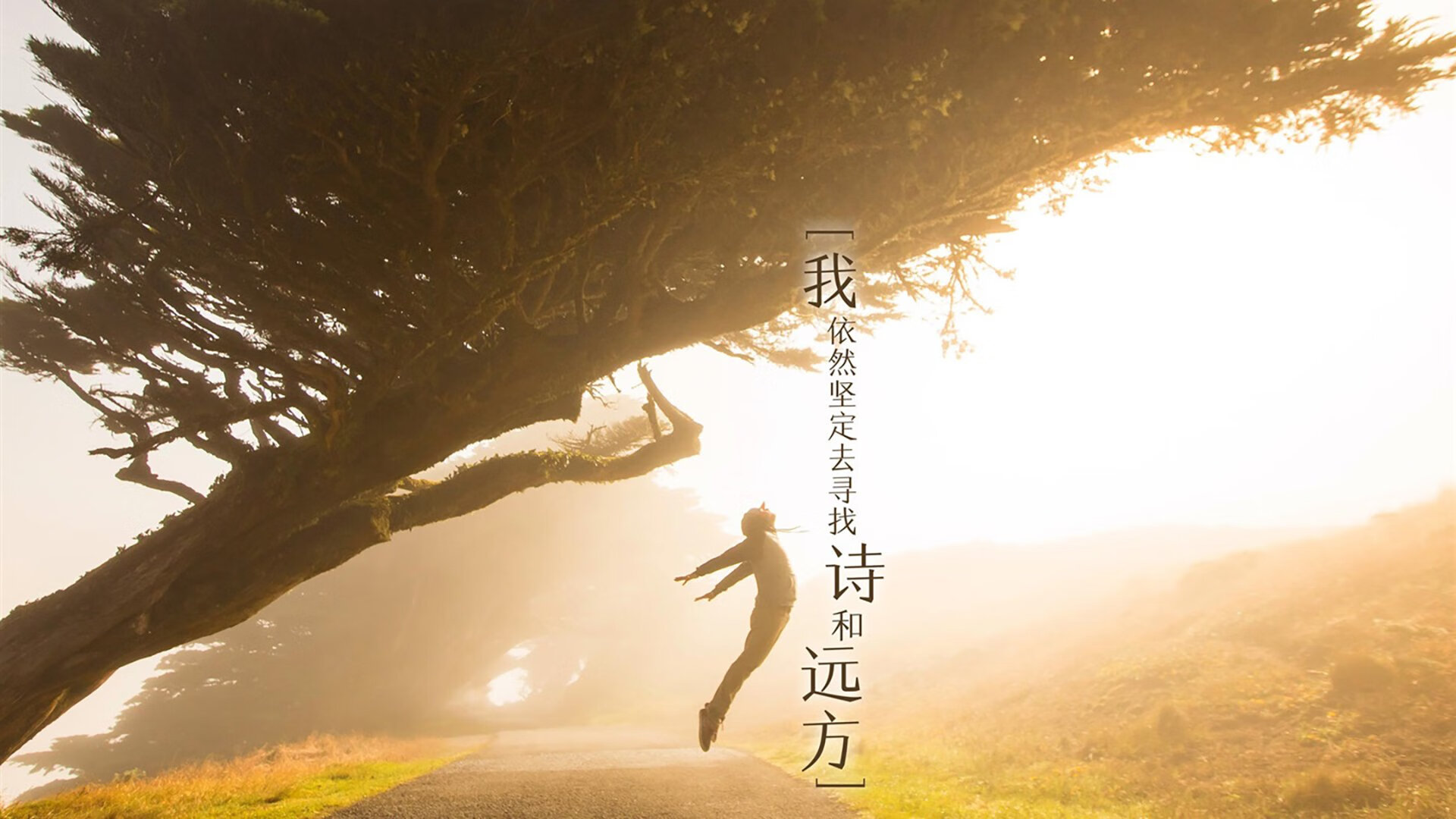 全国龙舟争霸赛，水上竞技传承中华文化，龙舟赛比赛