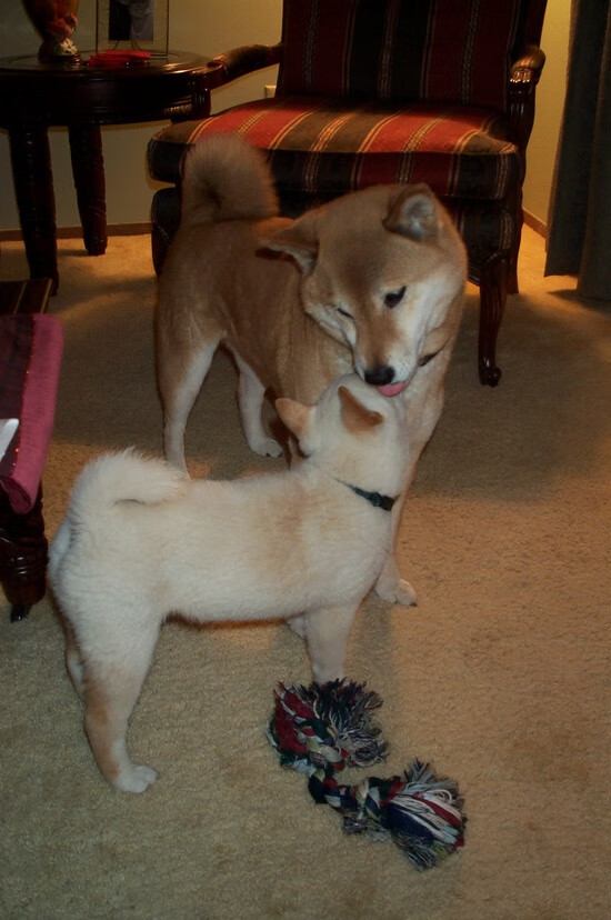 足球文化节掀起全民足球热潮,推动运动普及,足球文化节征文美篇