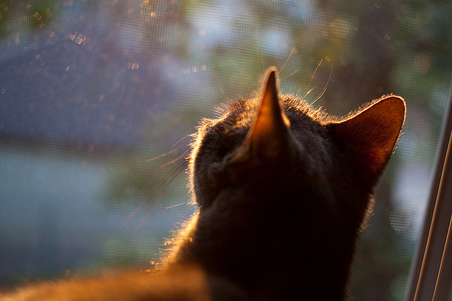塞维利亚主场2-1战胜巴萨，德比战取胜，塞维利亚主场2-1战胜巴萨,德比战取胜了吗