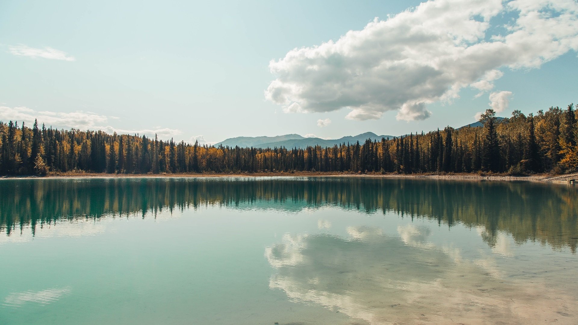有梦就有希望!欧洲国家队用实力屹立胜者宝座,欧洲国家队名单