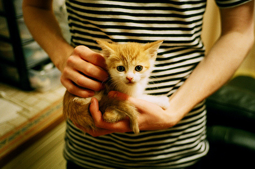 中国篮球青训体系发展现状及问题分析，中国篮球青训队