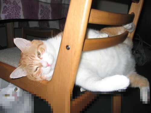 意甲冲刺阶段:那不勒斯继续领跑,追赶者紧追不舍,那不勒斯意甲历年排名