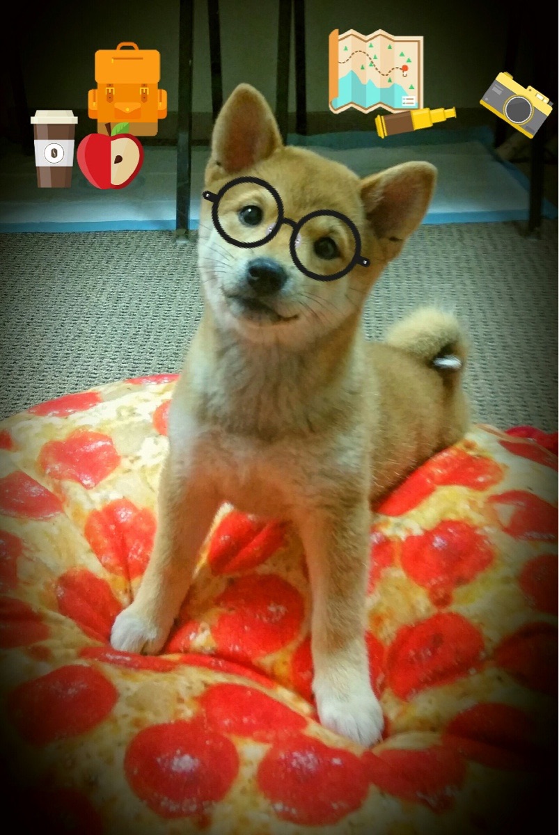 五大联赛是否重视第二落点保护率统计维度，五大联赛最后几名降级